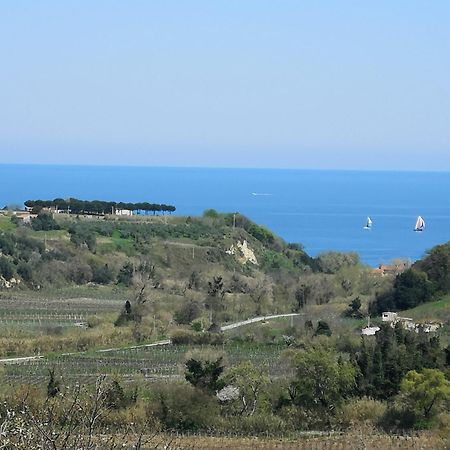 أورتونا B&B Stella Dell'Adriatico المظهر الخارجي الصورة