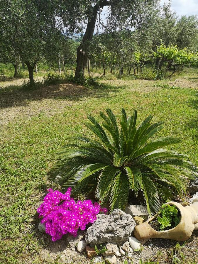 أورتونا B&B Stella Dell'Adriatico المظهر الخارجي الصورة