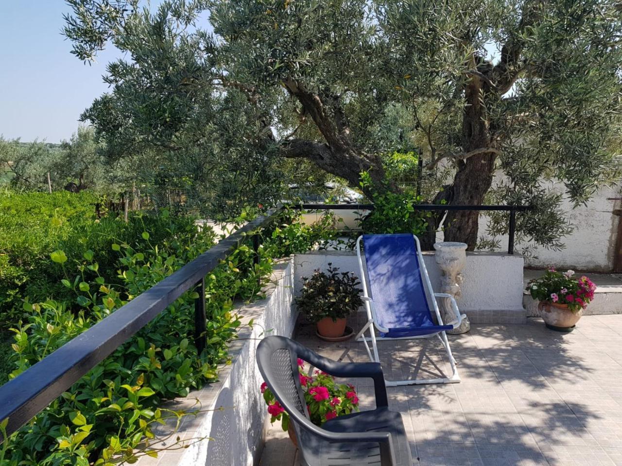 أورتونا B&B Stella Dell'Adriatico المظهر الخارجي الصورة